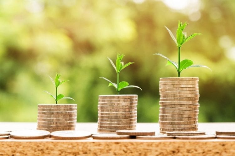 10 ting å vurdere før du velger hva bloggen skal handle om pengestabler med spirende planter på