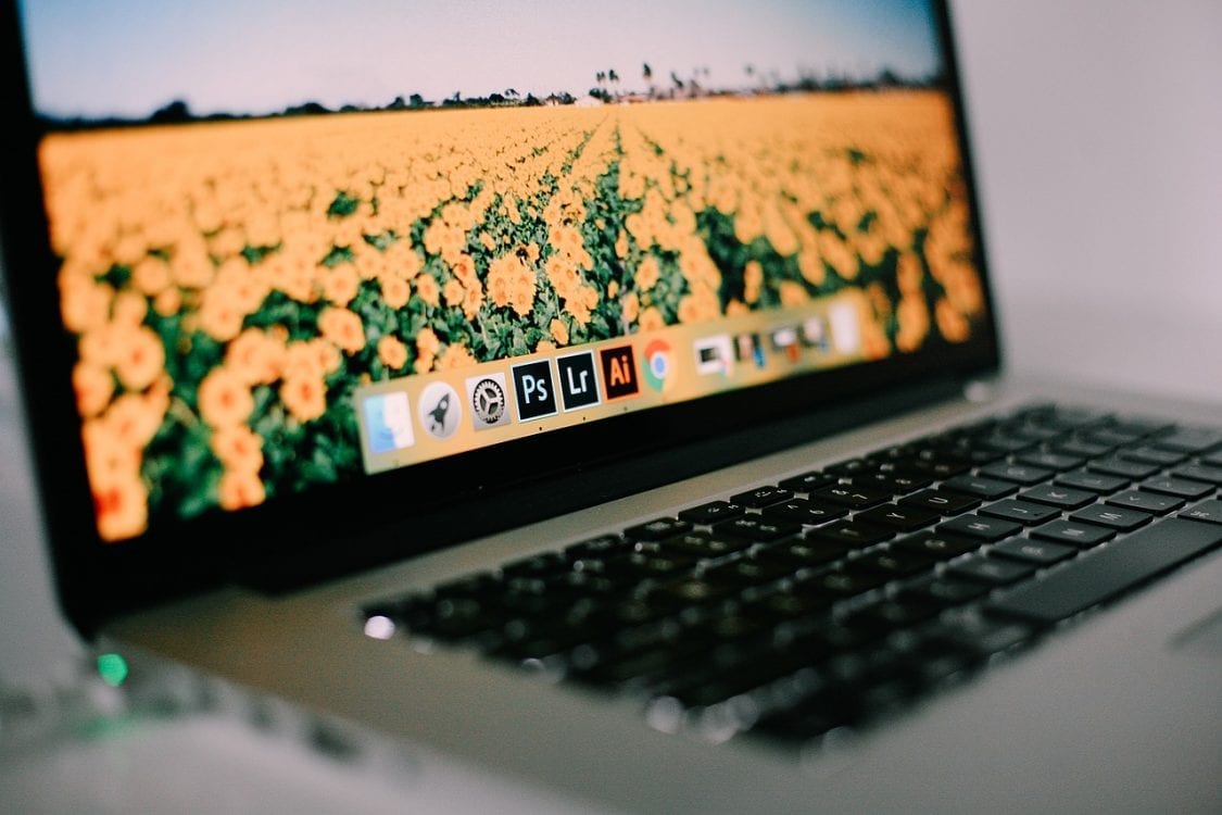 ta fine bilder til bloggen med mobil med tips fra 3 fotografer Lightroom på PCen med bilde av en blomståker